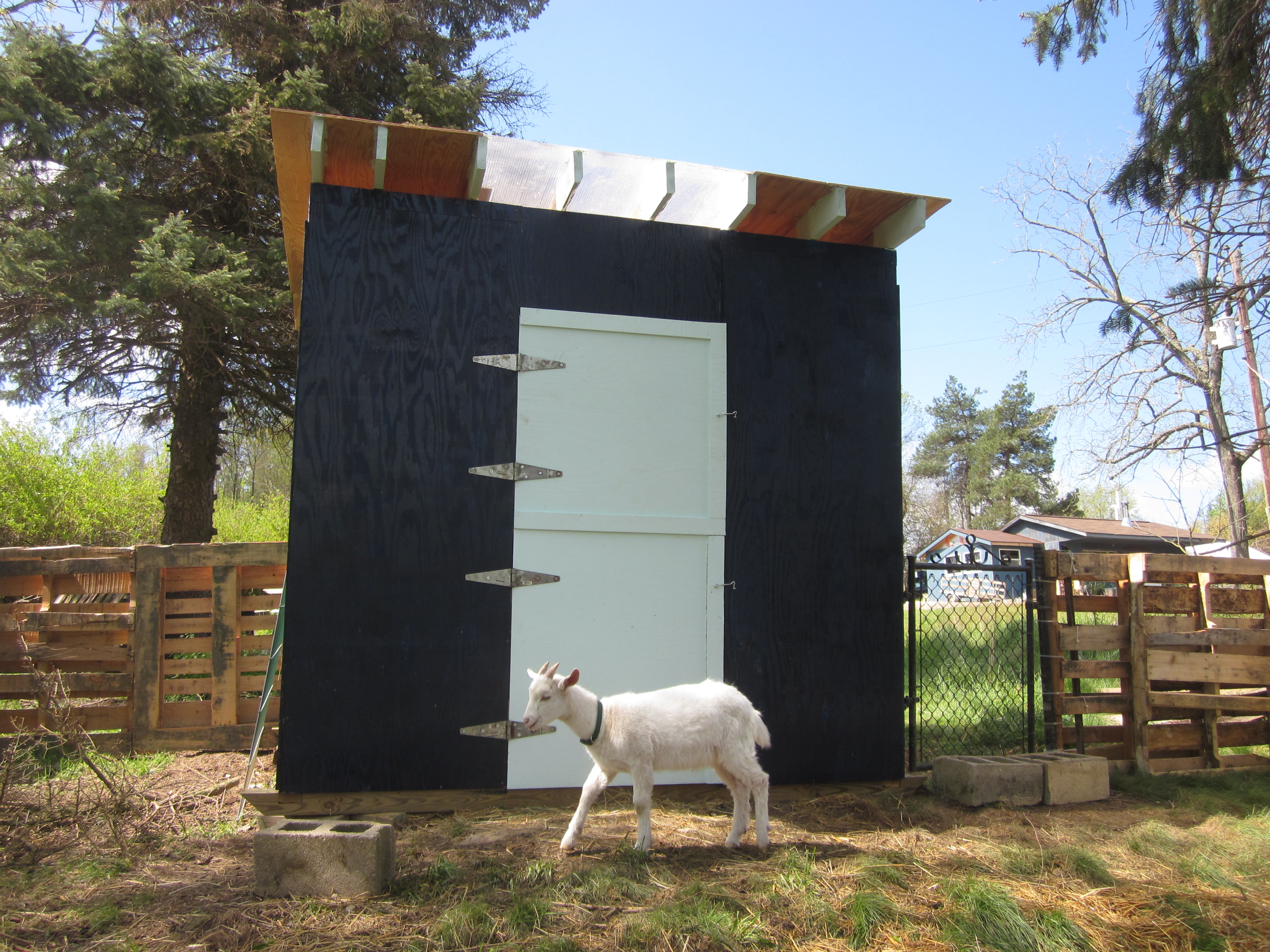 Mobile Goat Barn A Maaah D Endeavor Four Elements Design